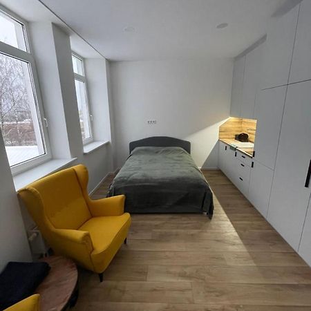 Airport Lux Apartment 30 Self Check-In Free Parking VNO Exterior foto